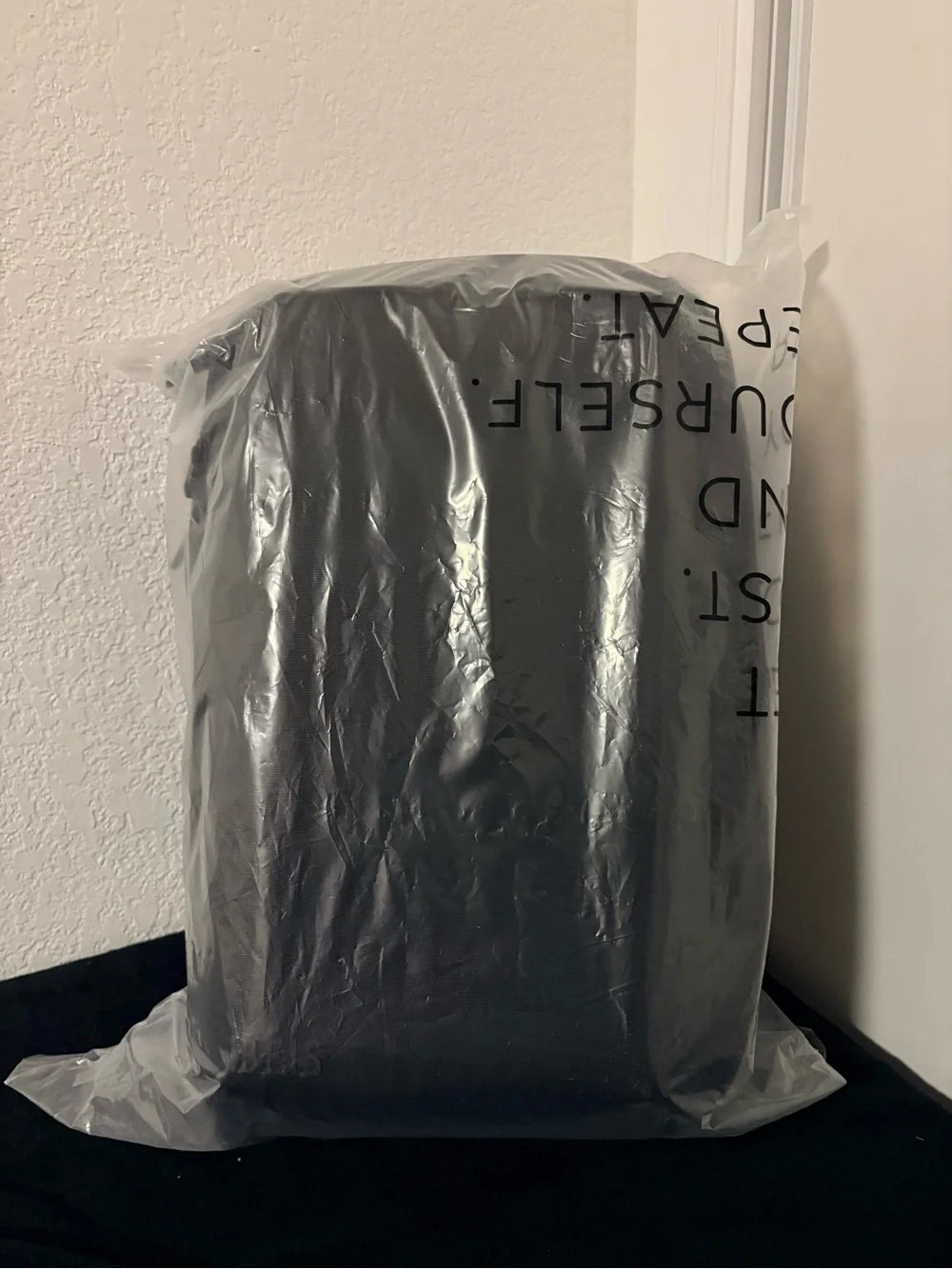 Beis The Pro Travel Backpack